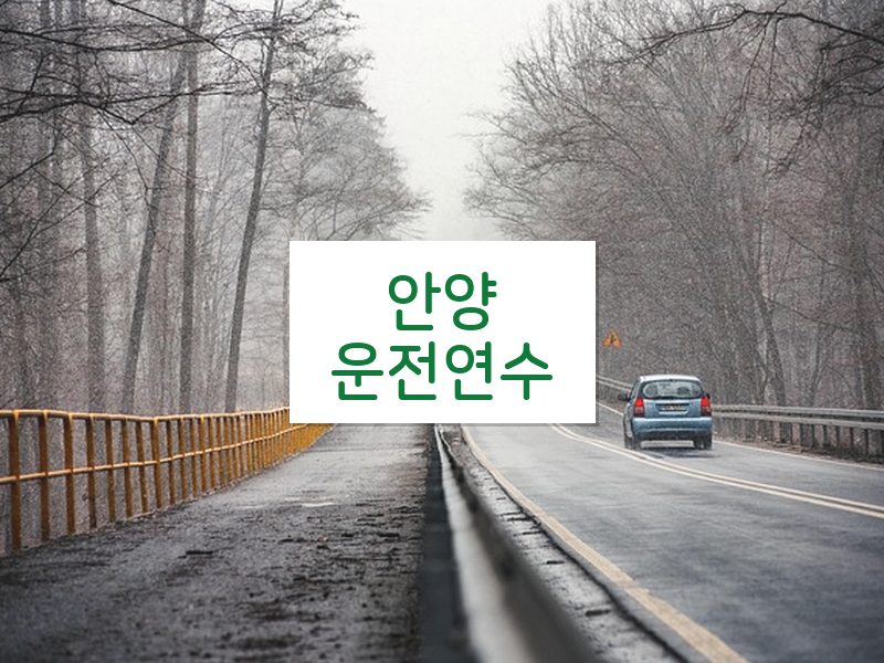 안양운전연수 후기