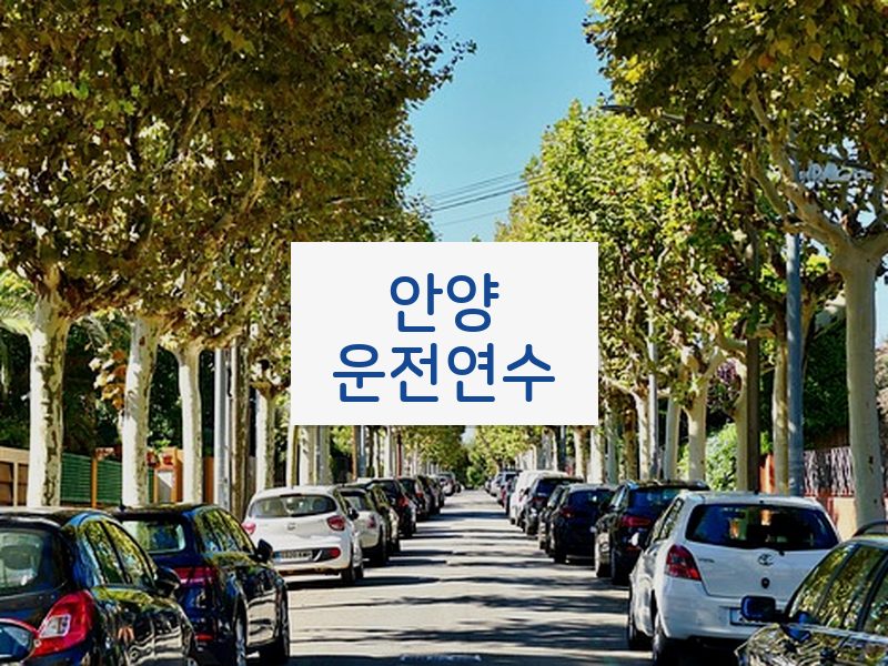 안양운전연수 후기