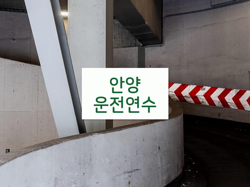안양운전연수 후기