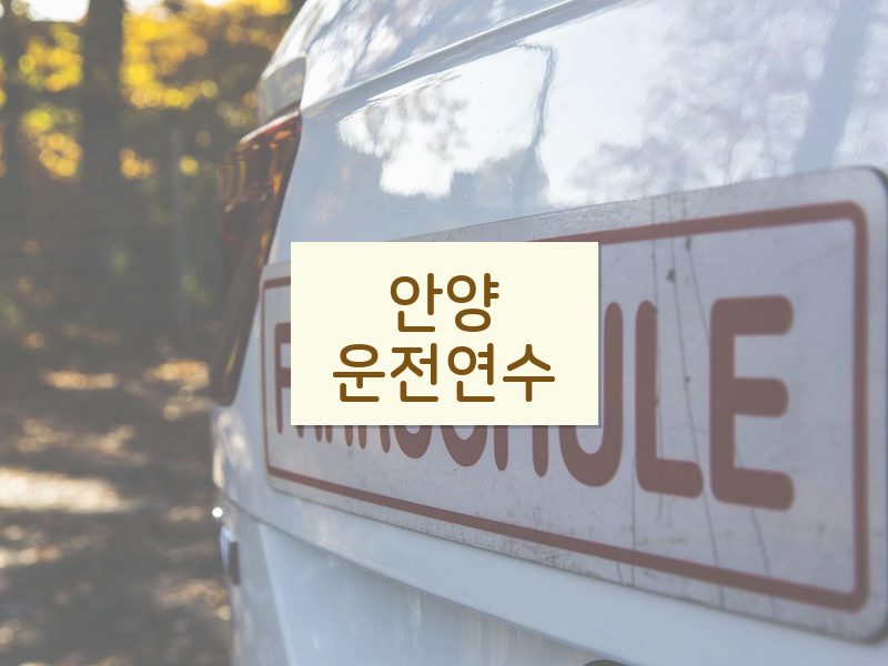 안양운전연수 후기