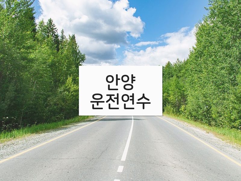 안양운전연수 후기