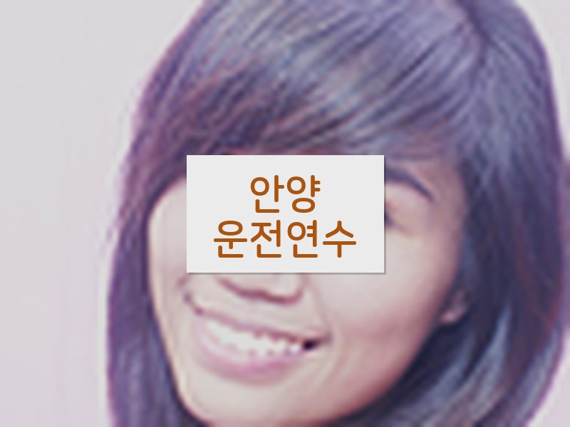 안양운전연수 후기