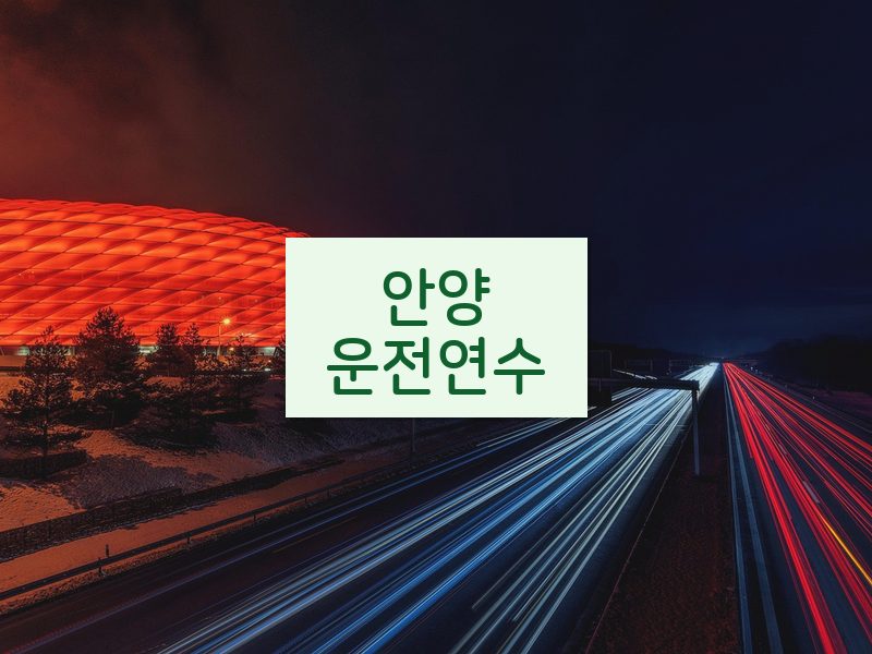 안양운전연수 후기