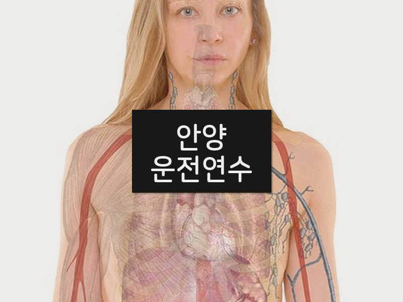 안양운전연수 후기