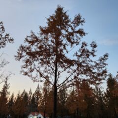 저녁 출퇴근 고생 끝!