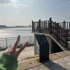 안양운전연수 왕초보도 가능해요