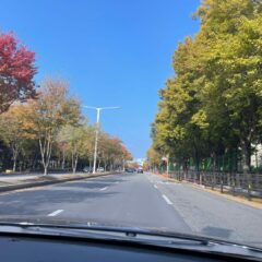 강남운전연수 잘하는 곳 찾았어요